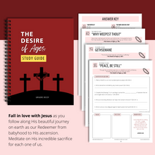 Load image into Gallery viewer, The Complete 5-in-1 Conflict of the Ages Study Guide Series