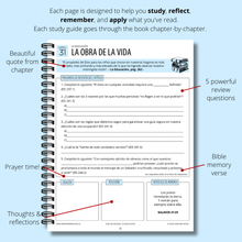 Load image into Gallery viewer, Guía de estudio: La educación (Spanish)