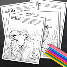 Load image into Gallery viewer, Animals in the Bible - Colouring Book