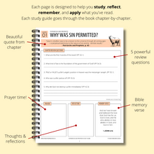 Load image into Gallery viewer, The Complete 5-in-1 Conflict of the Ages Study Guide Series