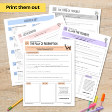 Load image into Gallery viewer, The Complete 5-in-1 Conflict of the Ages Study Guide Series