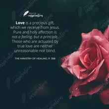 Load image into Gallery viewer, Love is a Principle Screen Background