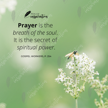 Load image into Gallery viewer, Breath of the Soul Screen Background