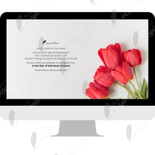 Load image into Gallery viewer, Questions Before Marriage Screen Background