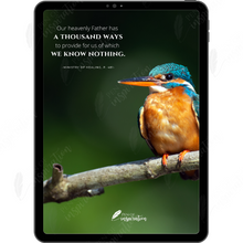 Load image into Gallery viewer, A Thousand Ways Screen Background