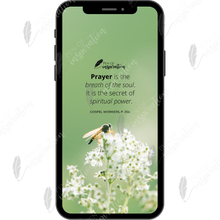 Load image into Gallery viewer, Breath of the Soul Screen Background