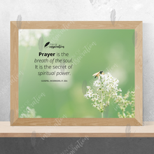 Load image into Gallery viewer, Breath of the Soul Screen Background