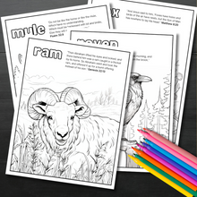 Load image into Gallery viewer, Animals in the Bible - Colouring Book
