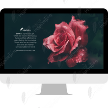 Load image into Gallery viewer, Love is a Principle Screen Background
