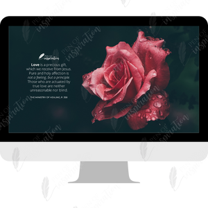 Love is a Principle Screen Background