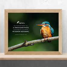 Load image into Gallery viewer, A Thousand Ways Screen Background
