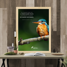 Load image into Gallery viewer, A Thousand Ways Screen Background
